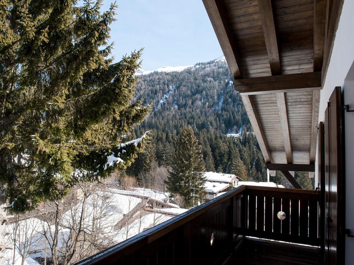 Boschi di abeti visti dal balcone di Hotel Perla, punto di partenza per le escursioni estive nelle Dolomiti di Brenta